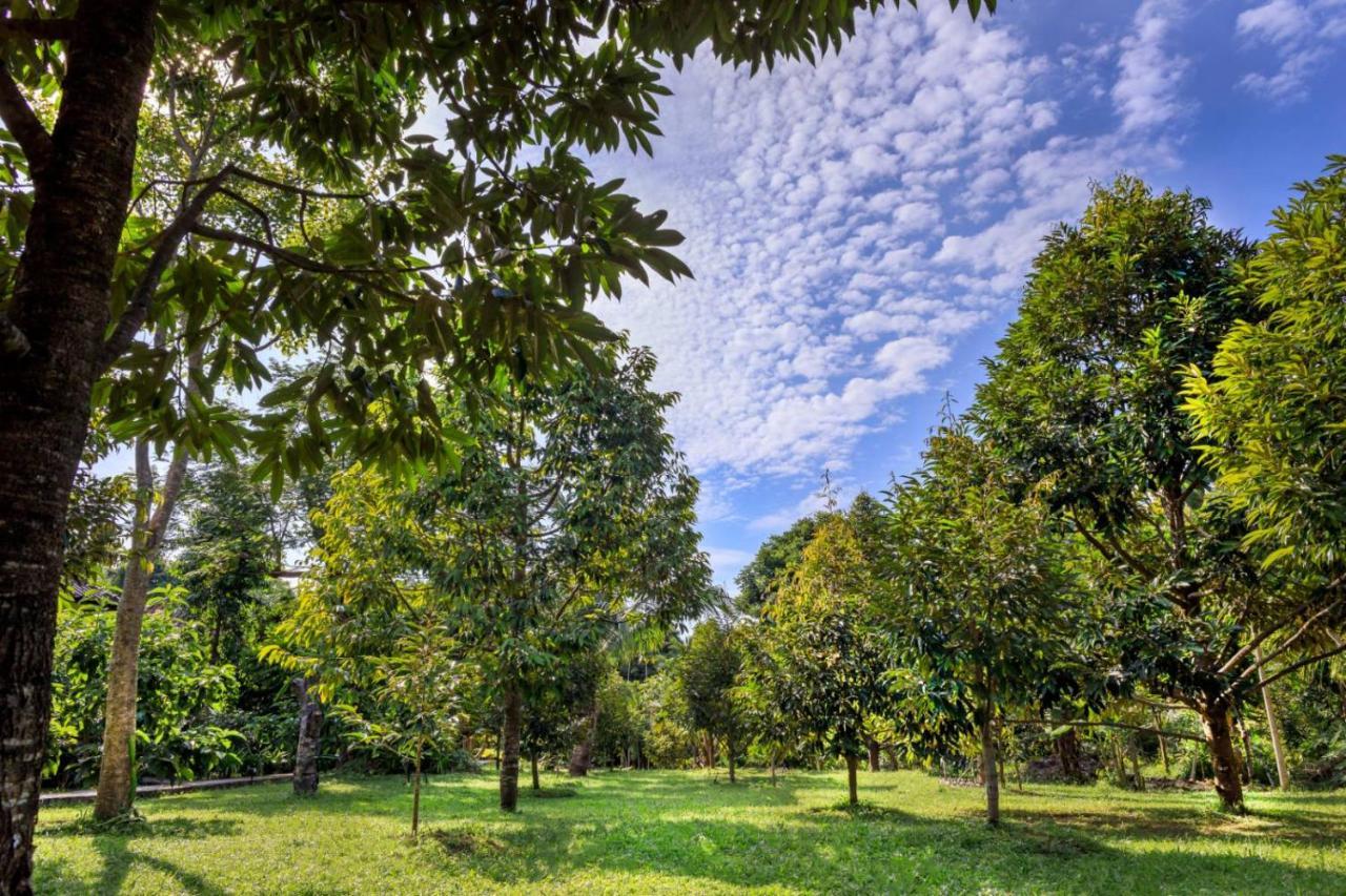 Ferieanlegg Bang Po Garden
